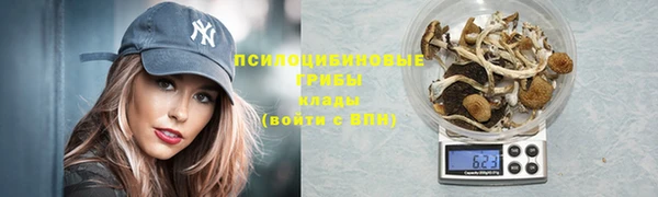 прущая мука Елабуга