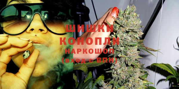MESCALINE Елизово